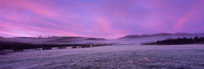 Bieszczady. Widok na Bukowe Berdo z Tarnawy